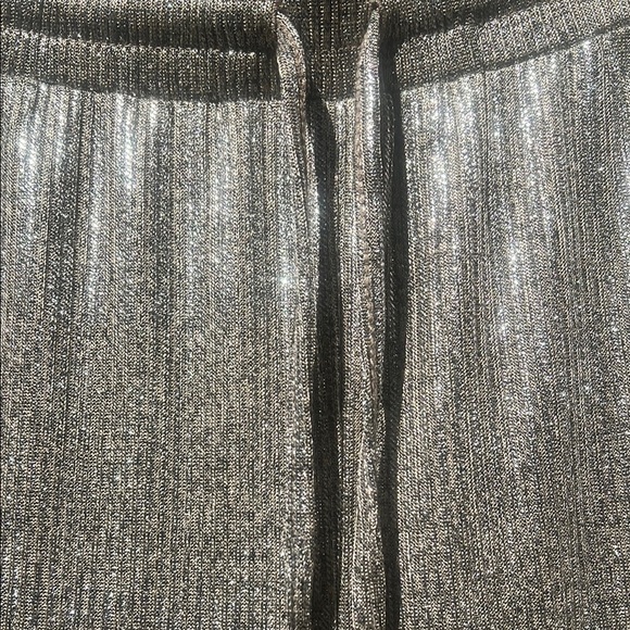 Anthro Metallic Shimmer Joggers - Picture 2 of 5